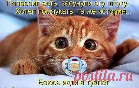 Одноклассники