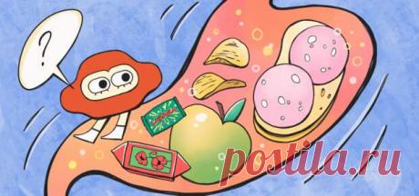 10 стыдных вопросов про желудок: отвечает гастроэнтеролог Сергей Медведко - ПолонСил.ру - социальная сеть здоровья - Медиаплатформа МирТесен Мы собрали то, о чём вы так хотели узнать, но стеснялись спросить. В этой серии статей известные эксперты отвечают на вопросы, которые обычно неловко задавать: кажется, что все об этом и так знают, а спрашивающий будет выглядеть глупо. Сегодня поговорим о желудке. Обсудим, от чего у людей - 20 сентября - 43202656594 - Медиаплатформа МирТесен