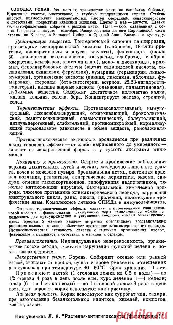 Солодка голая