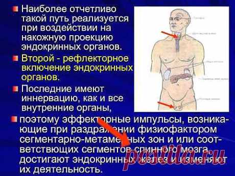 ▶ Теоретические основы современной физиотерапии 2 - YouTube