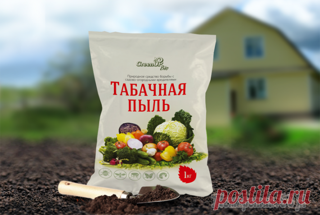 Применение табачной пыли в садоводстве