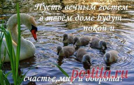 Одноклассники