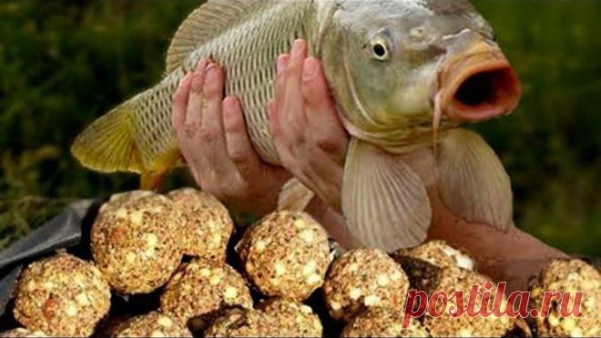 ТОП 5 самых лучших самодельных ПРИКОРМОК для рыбалки.