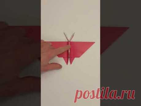 🐛Origami - Borboleta 🌴 Бабочка оригами, papillon origami, ओरिगेमी तितली #shorts