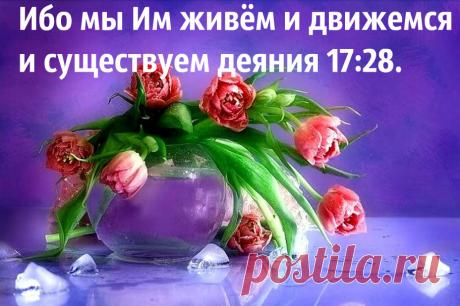 b-1326.jpg (912×606)