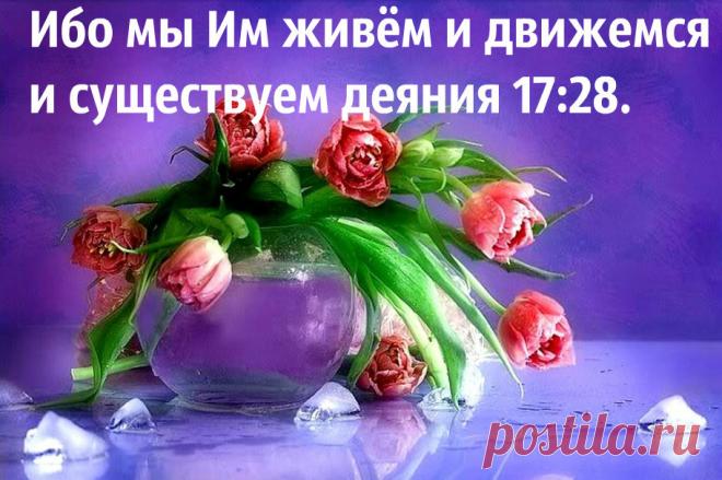 b-1326.jpg (912×606)