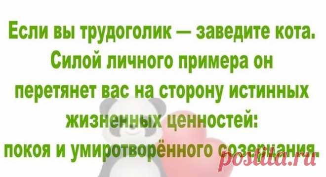 15 коротких смешных и жизненных историй с просторов интернета для отличного настроения
