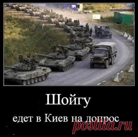 Как Шойгу явку с повинной сделал.
