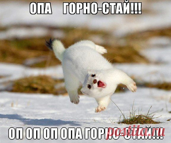 Новости