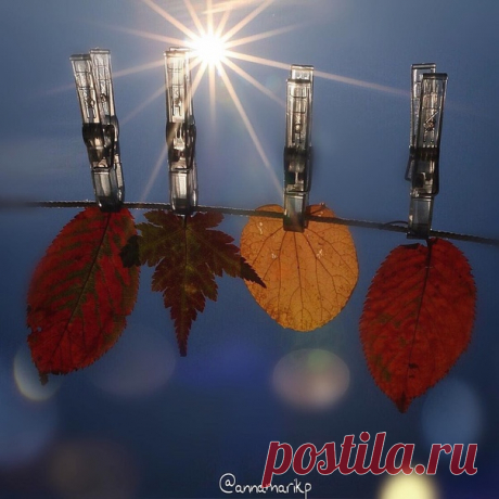 А лето, пролив столько дивного света
На мир этот дольний, ушло от ответа
И мне не сказало совсем ничего,
Когда задержаться просила его.
Когда же я просьбу свою повторила,
Оно лишь улыбкой меня одарило.
Молчанием просьбу мою обходя,
Осыпало листьями чуть погодя.

Лариса Миллер