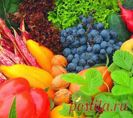 Правильное питание для похудения: что кушать, чтобы похудеть