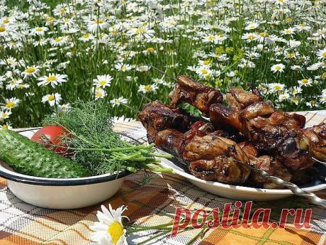 КАЮТ-КОМПАНИЯ
Галина Сенник