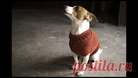 Knit with Alice: The Juno Jumper • LoveKnitting Blog