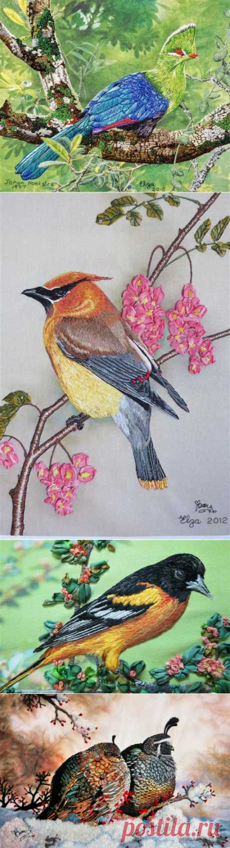 Анималистика Elzaz Embroidery. Невероятная вышивка гладью