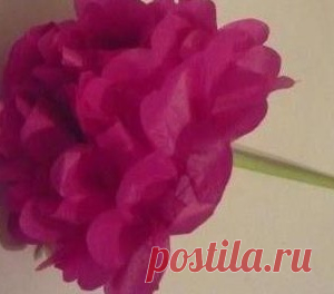 Делаем легкий цветок своими руками из цветной бумаги