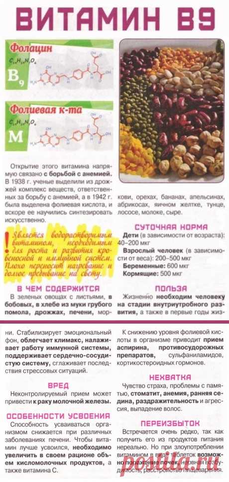 Витамин В9 в организме человека