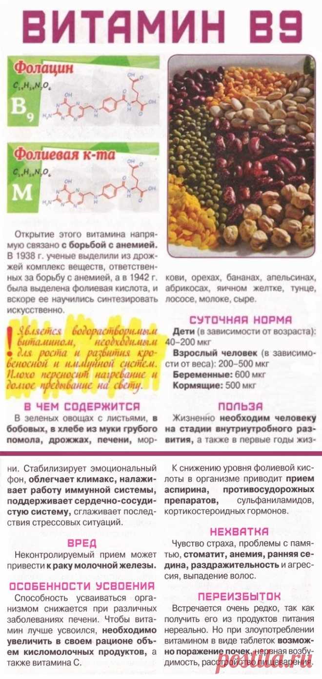 Витамин В9 в организме человека