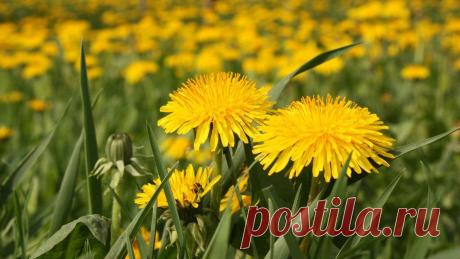 445250559.jpg (1366×768)