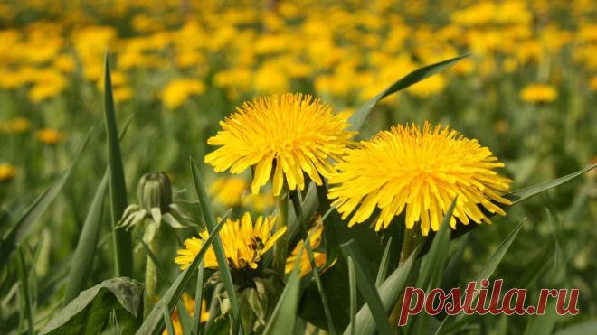 445250559.jpg (1366×768)