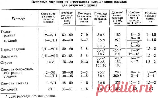 Выращивание рассады: 15 самых серьезных ошибок