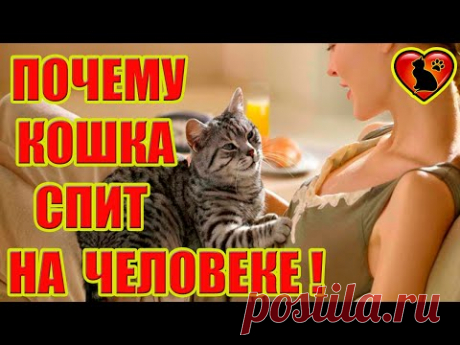 Так вот, почему на самом деле кошка спит на человеке! Основные и мистические причины!