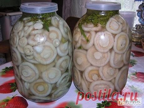 8 ВКУСНЫХ РЕЦЕПТОВ ЗАСОЛКИ ГРУЗДЕЙ! — Домашний ресторан