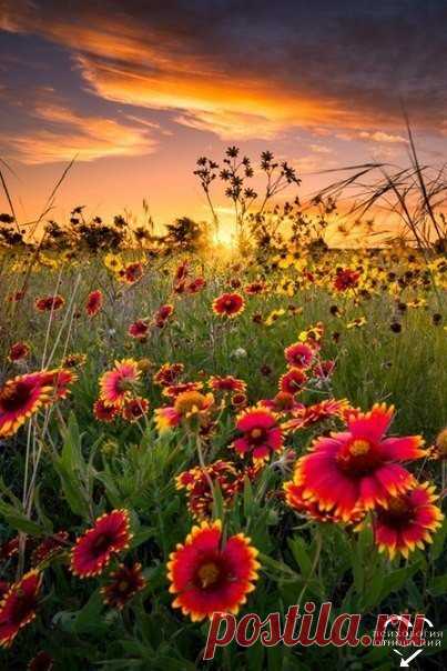 Лето как выходные. Такое же прекрасное, и так же быстро проходит. Июнь — это пятница, июль — суббота, август — воскресенье.