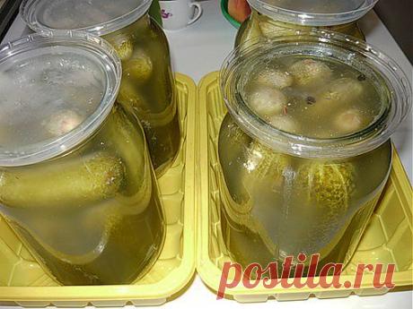 РАЗНОСОЛЫ ВПРОК | Записи в рубрике РАЗНОСОЛЫ ВПРОК | Дневник tanita_stk