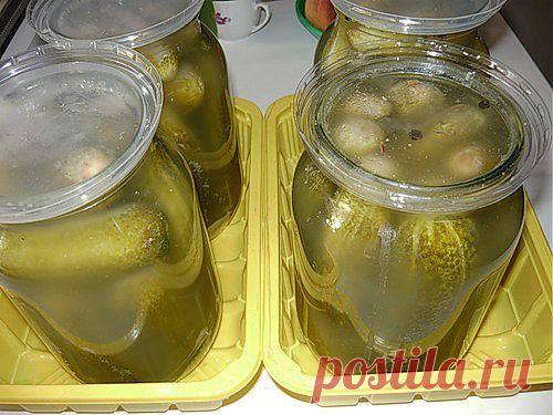 РАЗНОСОЛЫ ВПРОК | Записи в рубрике РАЗНОСОЛЫ ВПРОК | Дневник tanita_stk