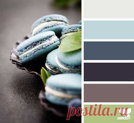 for all who ❤ color | macaron tones