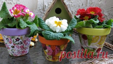 Как сделать свои цветочные горшки уникальными - rastimul.com.ua