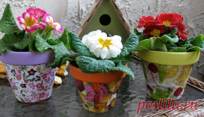 Как сделать свои цветочные горшки уникальными - rastimul.com.ua