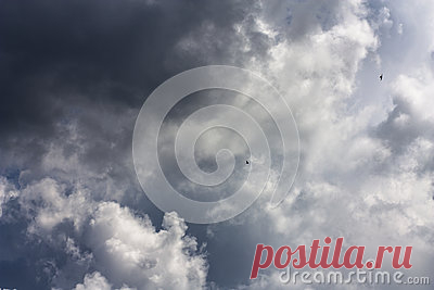 Stock Photos, Royalty-Free Images & Video Footage By Dreamstime Stock Photography