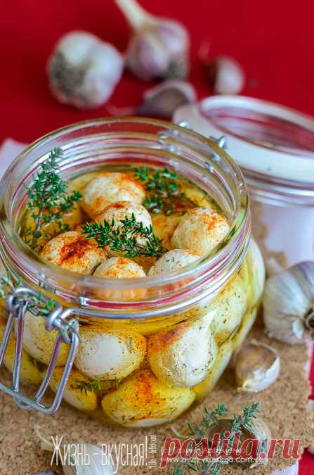 Сыр лабне – такой загадочный, такой простой! Маринованные шарики - Жизнь - вкусная! — ЖЖ
