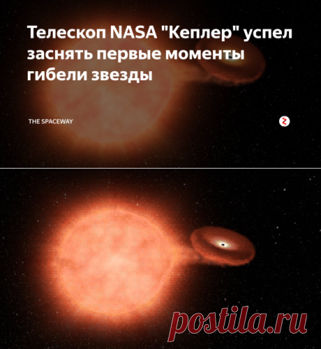Телескоп NASA "Кеплер" успел заснять первые моменты гибели звезды | THE SPACEWAY | Яндекс Дзен