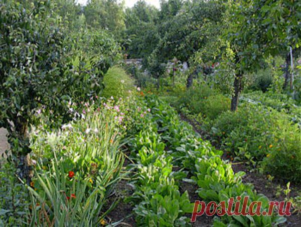 Надо ли вести записи дачнику | 6 соток