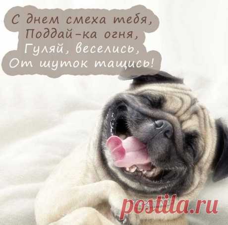 В этот день совсем не грех
Рассыпать повсюду смех!
И над кем-то пошутить,
Чтобы народ повеселить!
С Днем смеха!
