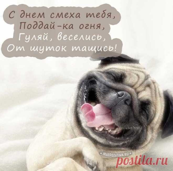 В этот день совсем не грех
Рассыпать повсюду смех!
И над кем-то пошутить,
Чтобы народ повеселить!
С Днем смеха!