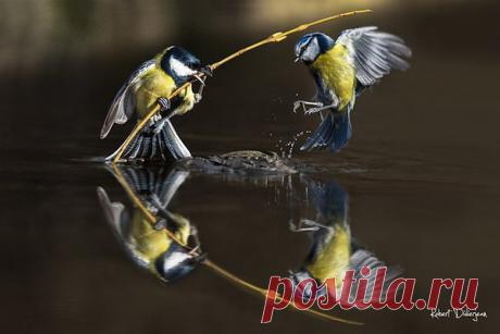 Интересные новости