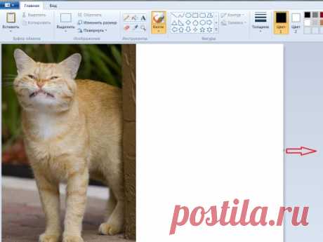 Как соединить две фотографии в одну в Paint?