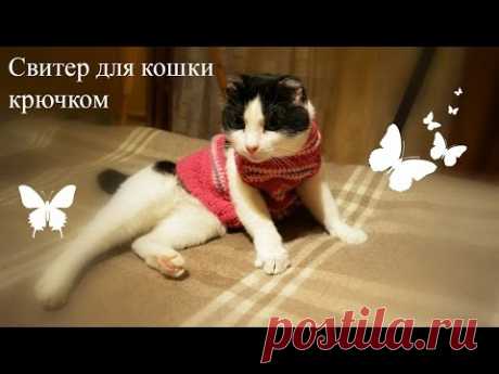 Свитер для кошки крючком. Crochet sweater for cat:-)