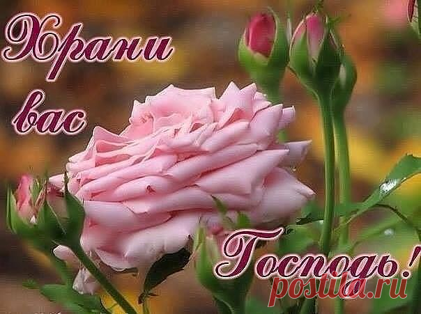 0_1308d1_18d9ddb1_orig (604×451)