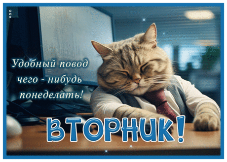 Вторник будет пусть хорошим
И удастся пусть вполне!
Пусть проблемы не тревожат,
А удача в новом дне
Пусть сопутствует повсюду.