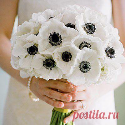 цветы из гофрированной бумаги - Самое интересное в блогах