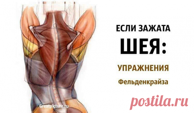 Если зажата шея: упражнения Фельденкрайза. 1 203 39 Если зажата шея: упражнения Фельденкрайза. Эффект 100%! Просто попробуйте!Особенностью метода Фельденкрайза как двигательной практики является акцент на осознавании изменений, происходящих в человеке в процессе работы над движением, в противоположность...