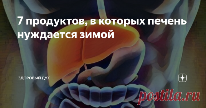 7 продуктов, в которых печень нуждается зимой Приветствую на канале «Здоровый Дух»! Новогодний праздник прошел, и пора позаботиться об органах, которые больше всего приняли на себя нагрузку. Один из таких орган печень, ведь в ее основные задачи входит детоксикация - уничтожение вредных веществ, попавших в организм с пищей, и выработка желчи.  Желчь превращает жиры в эмульсию (иначе не усвоятся) и активирует работу кишечника. А еще она защищает поджелудочную железу. Если пе...