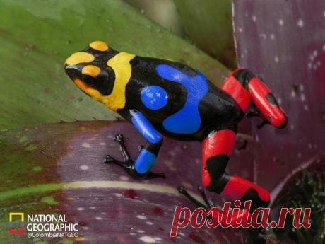 Fantástico Natureza,linda!!!