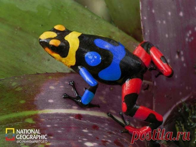 Fantástico Natureza,linda!!!