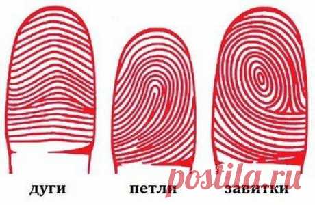 Genetic-test Moscow  8  929 969 65 73 (Ирина) Тестируем в Москве и дистанционно.