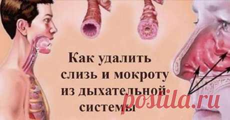 Как выгнать слизь и мокроту из горла и груди: 5 средств, которые работают Читать далее...